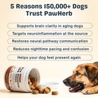 PawHerb™  | 8 in 1 Mushroom Chews
